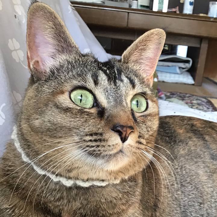 4702e5a7 0cdb 43df 9235 1db7d4a78d41 1649806643362