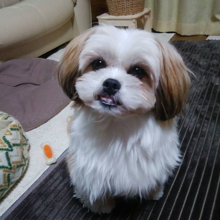 47037cda 7e53 41ca a81f 8565c3fc7202 1547903266862