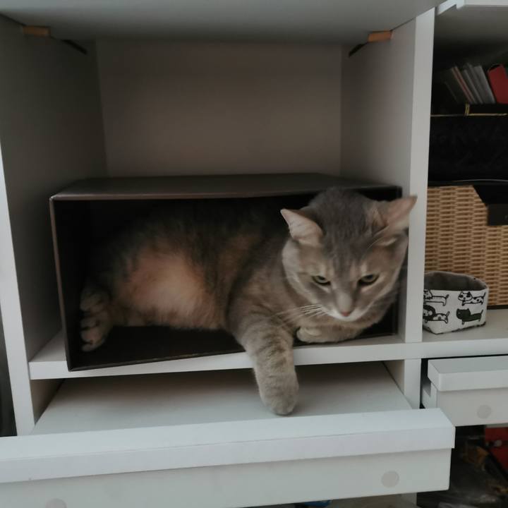 4703d77e cba5 4d49 99f3 84f4f14d075c 1616298934606