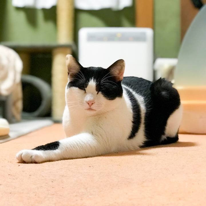 4703f36f 6e18 4863 9992 a1e4834451aa 1521729485154