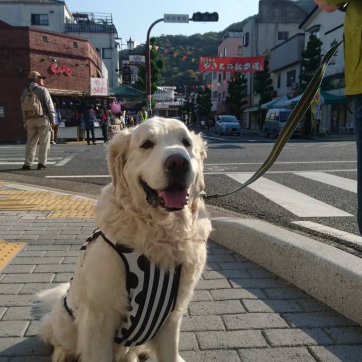 47040bdc 9ce6 48c8 ad78 d69ba1eda5a0 1525474061266