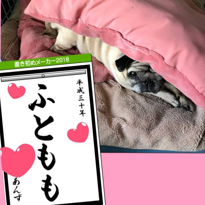 470411ed ace7 4cbf 84d7 7646b00ad979 1514944313220