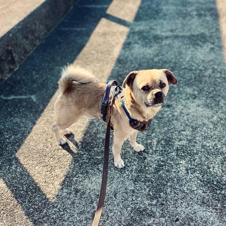 47044983 2313 47cf ba9e e80810a823ce 1765264392512