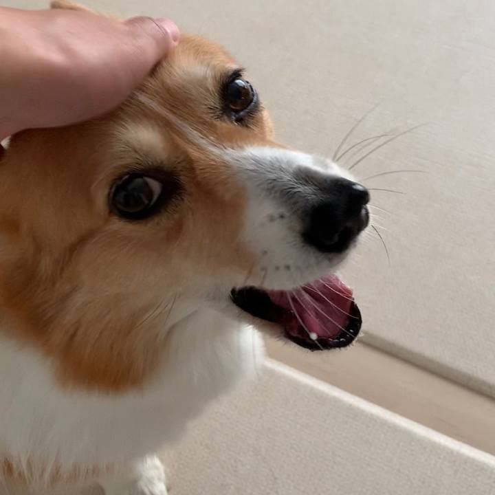 47046682 7668 41b9 9bc7 e2aab802d9db 1686453753792