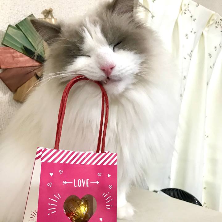 47046da1 9f06 4bcb 8522 5d1b9928ba8a 1581625338341