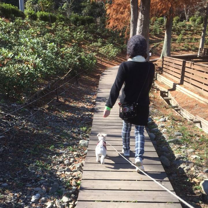 47049476 ab7e 4c95 b81d 7305d19167d8 1511093118285