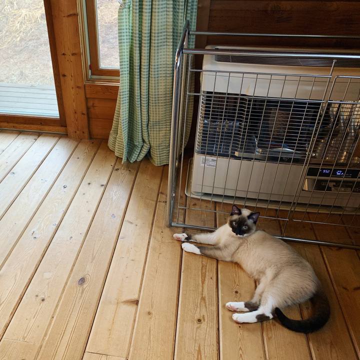 4704a64d 517d 4f02 96b7 96a994575204 1679619530855