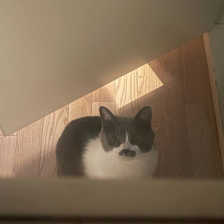 4704f878 c310 4a1c b509 69511919fc35 1703575907990