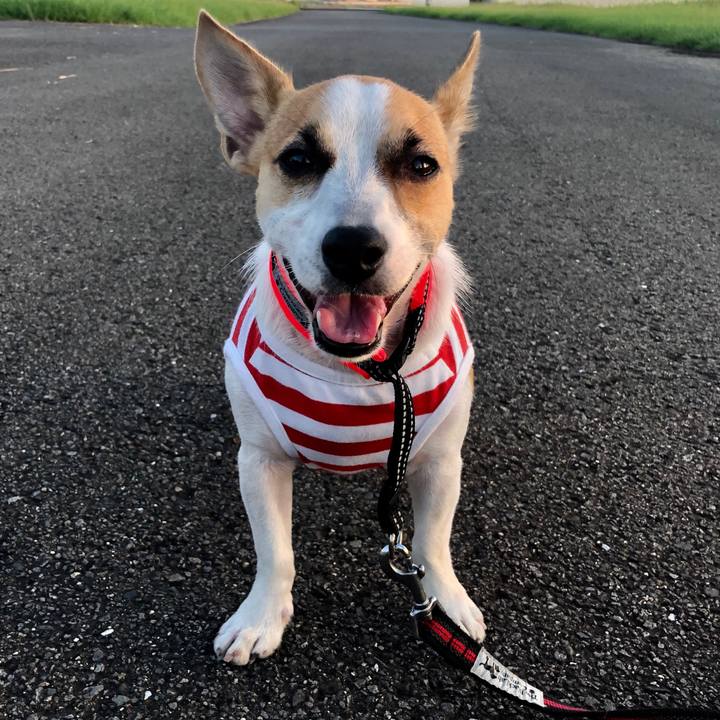 470554e3 e572 4573 a75f 6159e4f4cf34 1568197112208