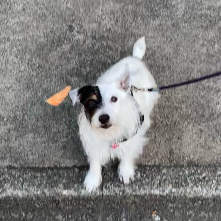 47057ca4 d339 403a 8381 8b4ee4ac5ef7 1693522845089