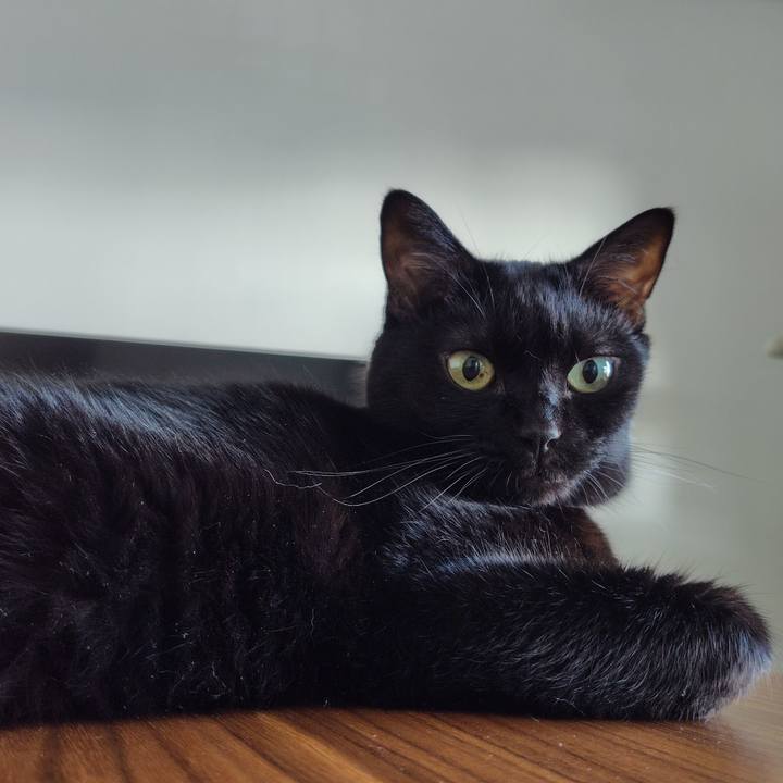 470581d7 d9a9 4260 be3b 14a4f90cabdb 1725661594615