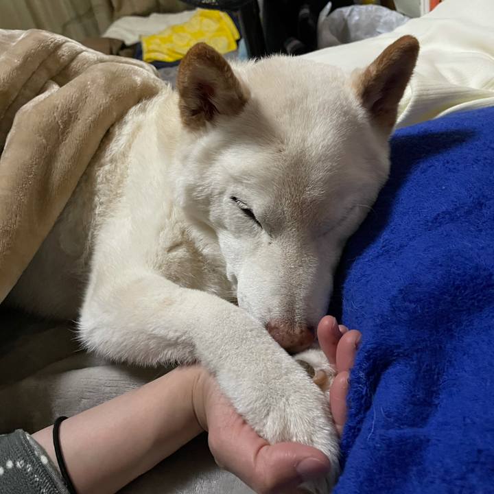 4705a374 6e03 4669 9feb 4c269ea28b94 1638713521477