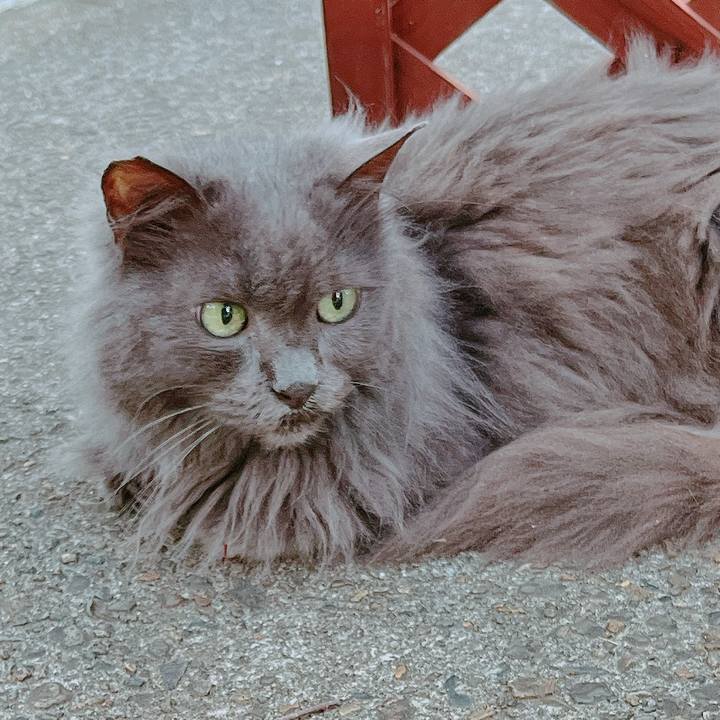 4705d225 fae6 44f4 9904 e33c317562d7 1655031254298