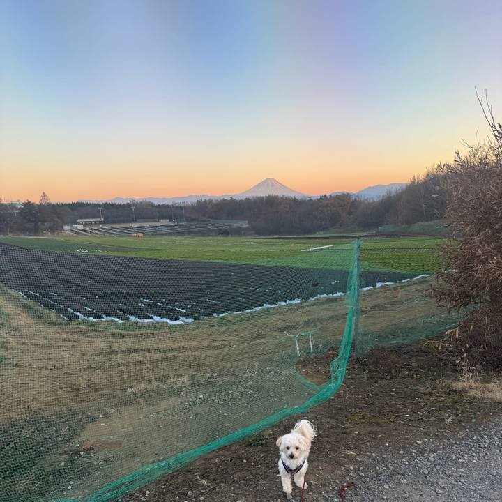 4705e97e 58f5 4426 ad48 648563a4bb99 1765282122521