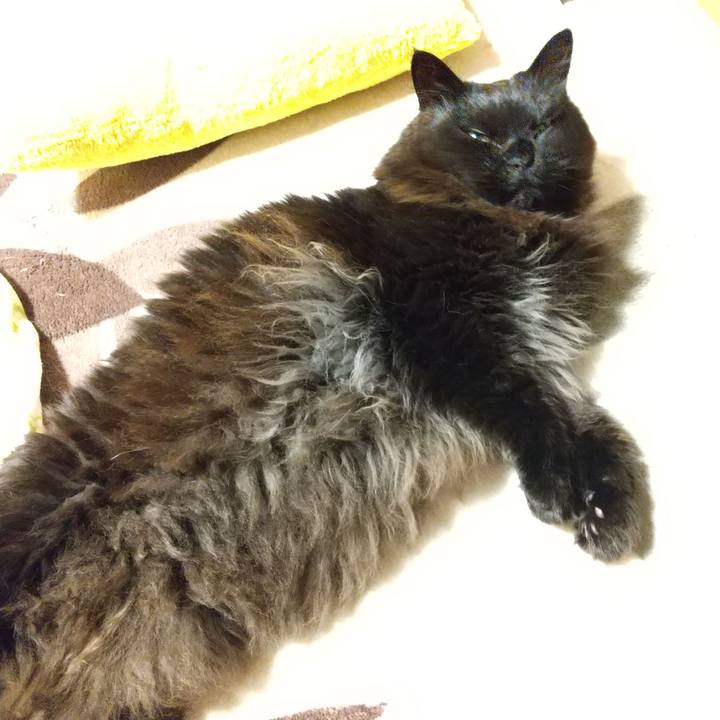 4706036b 4741 4975 8af9 7388df8f4cc5 1586347436203