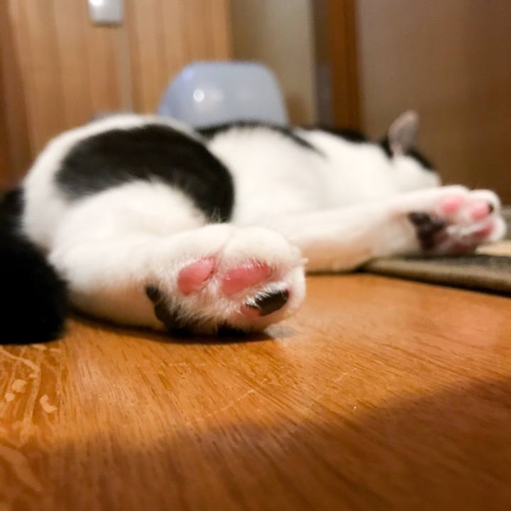 47066a4d 9e17 494e b886 e06dd090189c 1512400648201