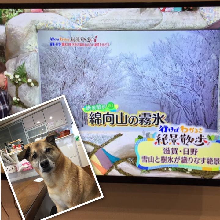 47066a65 05ea 4755 9d4c ec71ce9e85cb 1518161498347