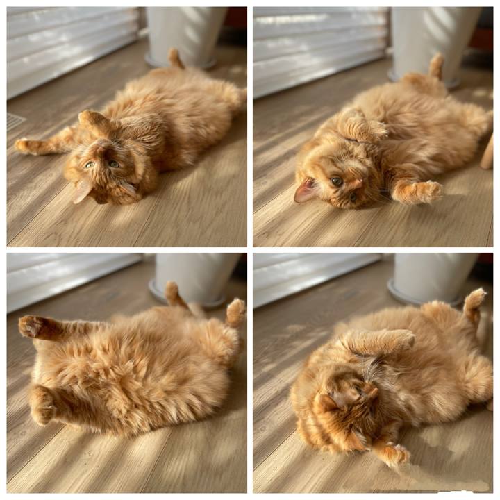 4706d3ac 9b07 41a4 bb02 e4c102c3578b 1763181830751