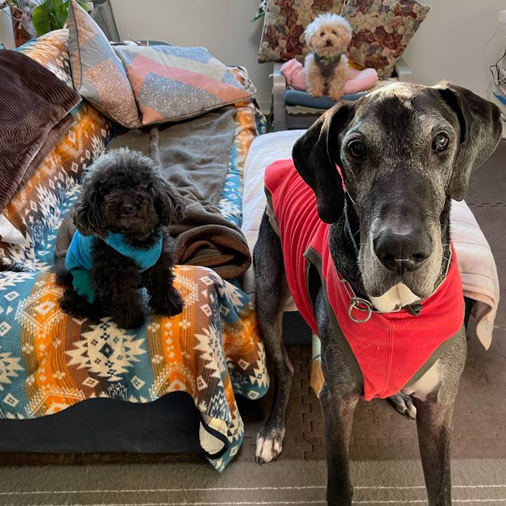 4706e6a4 6b07 4b90 838c 9f1c73aff62c 1639953937062