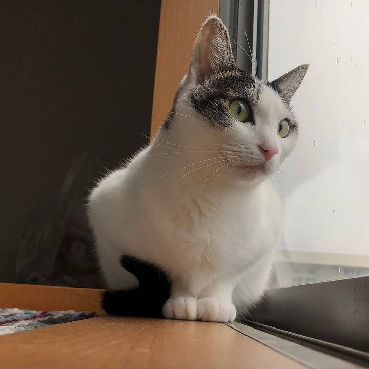 4706f83e 21ab 4c09 bc35 6e3f99380ae8 1668292516586