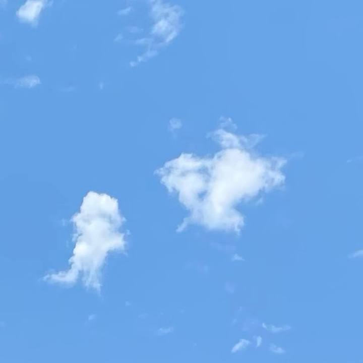 47071340 65f9 4422 956c 4a14f2711ef1 1721699159340