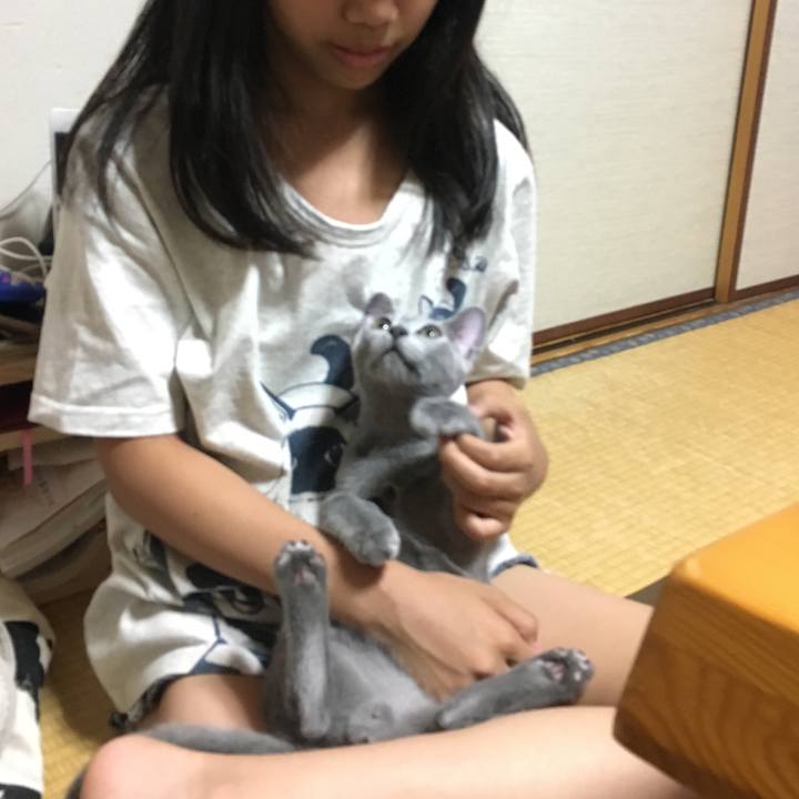 4707639d 7d16 4f77 a9e0 17c291080e24 1528895642652