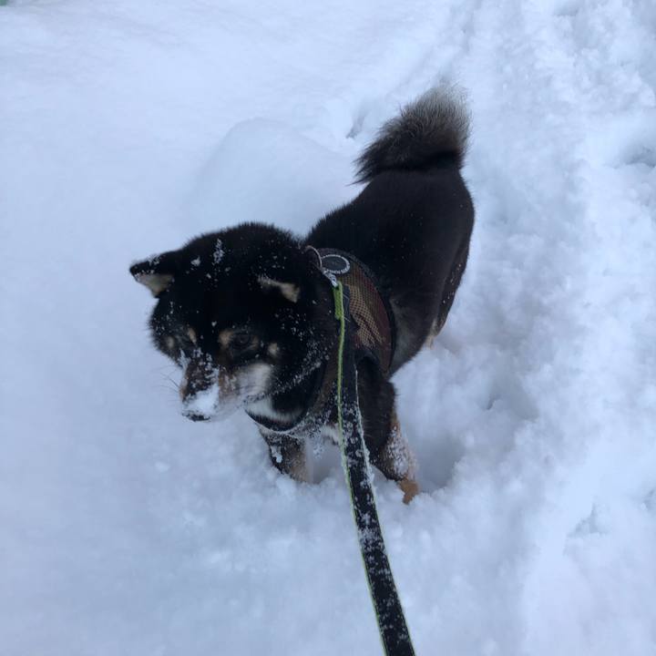 4707660f f282 4b17 acff a188d672c304 1521242687271