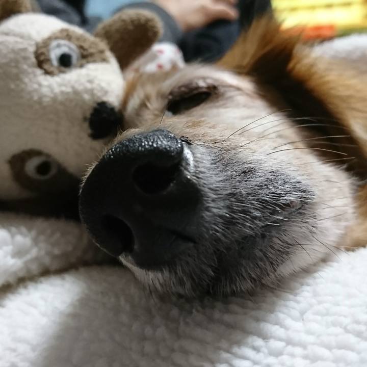 47076710 5ff1 41e2 9679 79ad0ee3d21c 1507997446826