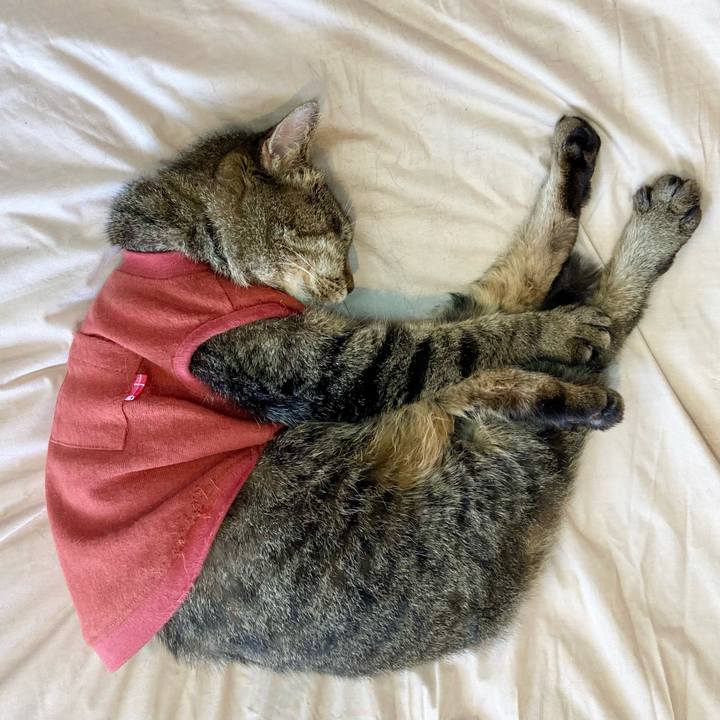 470770e9 9163 42c0 bc6b 861ff8e92ee8 1681775718669