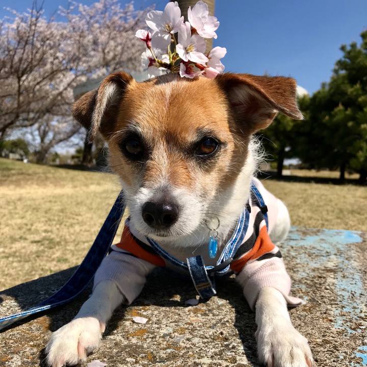 47078f81 5c19 4f6b 9cc2 c7efa5a2504b 1555141408637