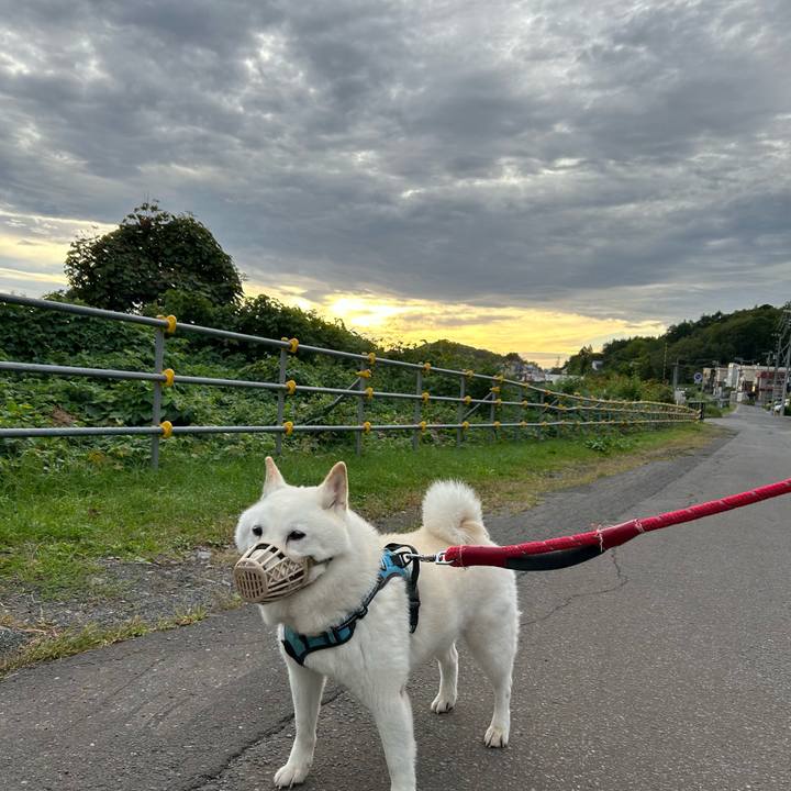 4707a65a cb9c 4b9a b0c0 8bdc213723a9 1726273273520