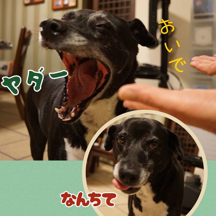 4707a9d2 7676 4229 bedf 178dfbcd9ef4 1764587620612