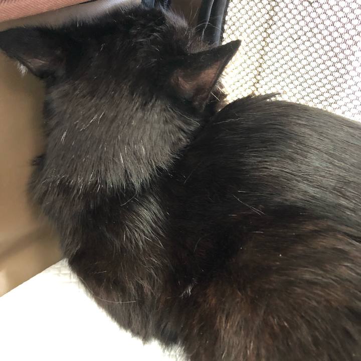 4707d9e2 d554 4c28 b68a 48823834d55e 1567305993652