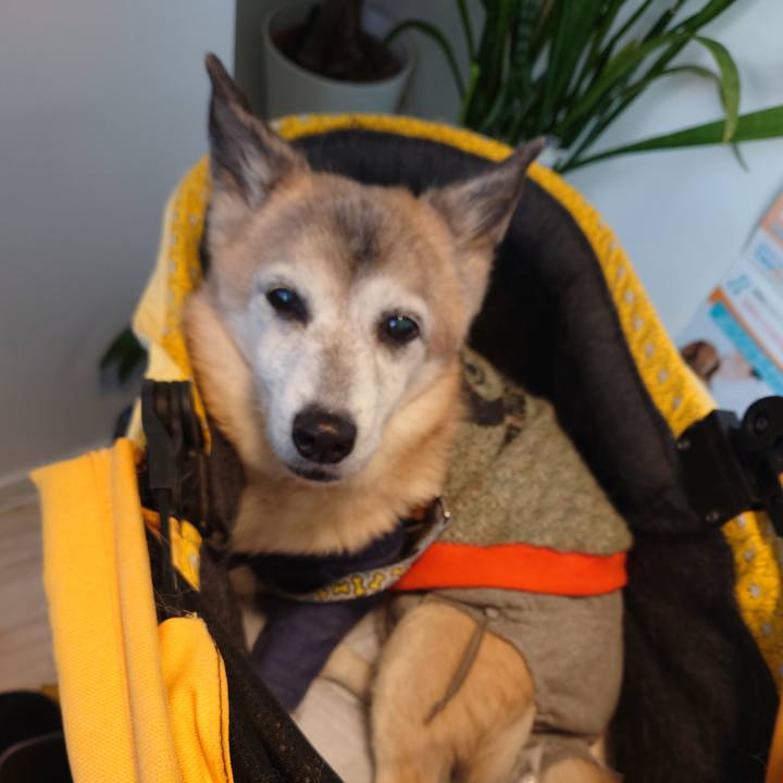 4707e6e6 51ab 45e1 848f c34aff94bdcc 1737249908635