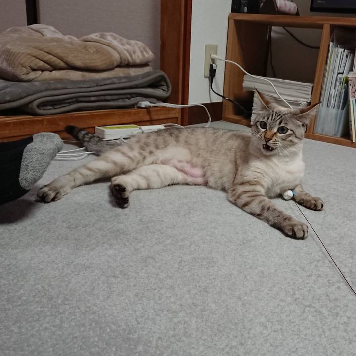 4707ea7b ecd4 4786 a04c 9cb47a946177 1519560300505