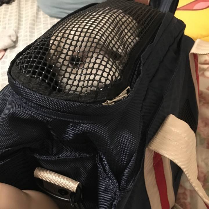 4707f861 ceda 411e 881a a6e633f6915f 1564758359489