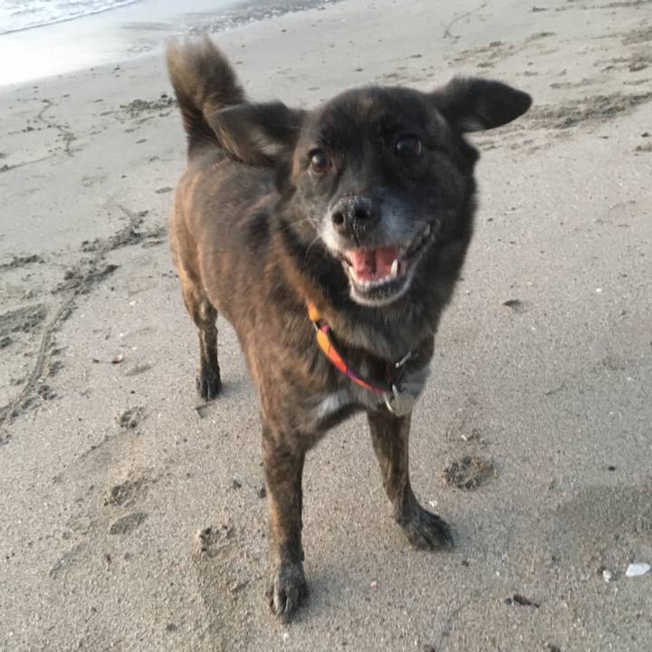 47080810 2adc 44fe 8917 62d31b482149 1517307685858