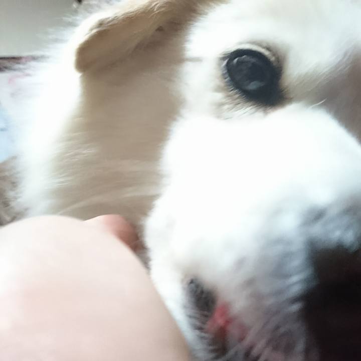 470824e7 db3e 4c1c 9275 e2167ce57d74 1517605043636