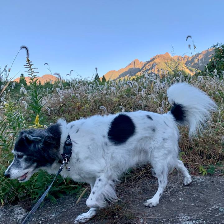 470878d0 cb0a 4f04 ae26 a13c08b9b27f 1666181024551