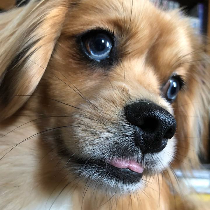 47088abd 4514 4734 b905 0275203ccba9 1527302096202