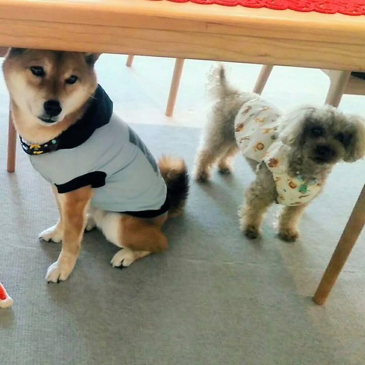 47089d4c 14ab 4132 9773 24933678f123 1579850943199