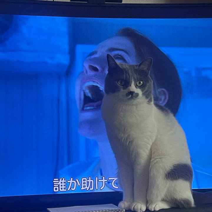 4709042d 0c25 4072 be80 dc1fd1025176 1688019272953