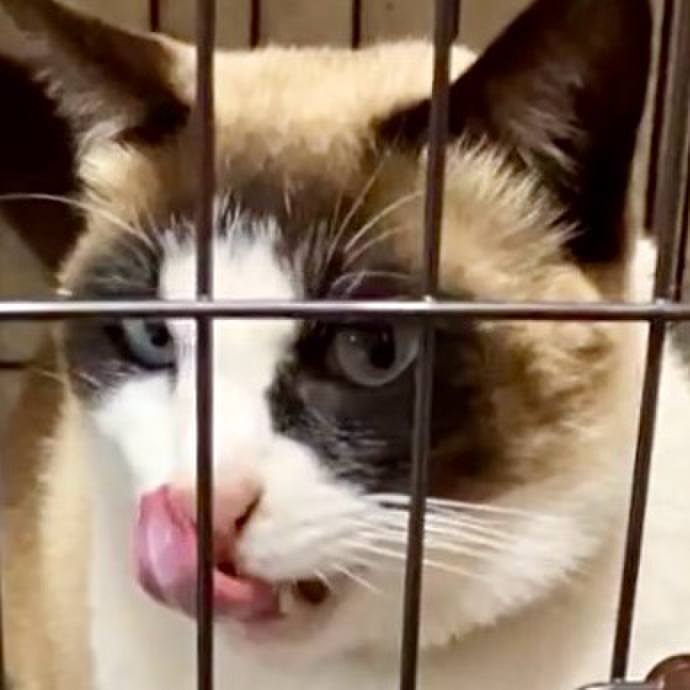 47091faf d014 4b34 a00f c3acd5d00bd0 1743903532455