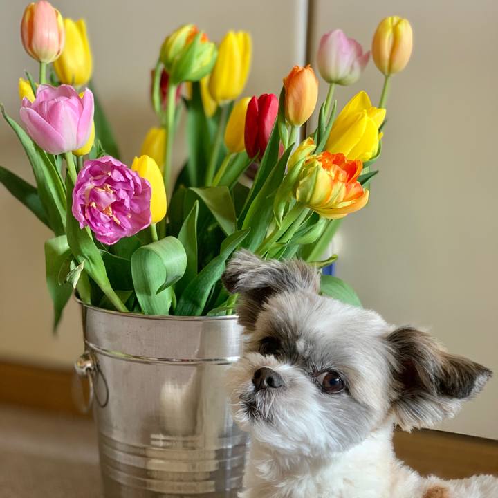 47093a70 e4c0 41f0 818c a6cdeb50c402 1615006610321