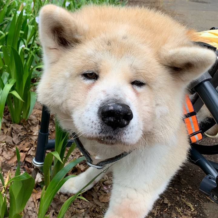 4709a016 f379 44d3 9a81 cb7634b869b8 1688829261449