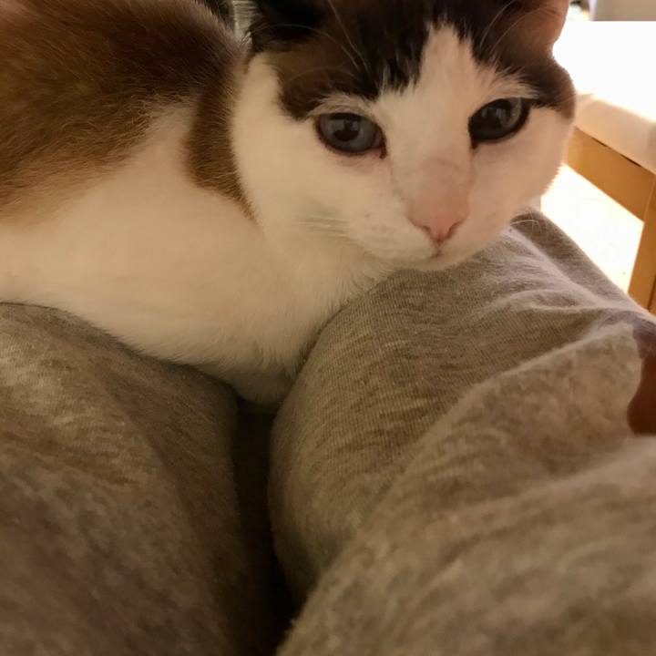 4709edcf c5e6 447b a78c 74be70255cda 1583554576542