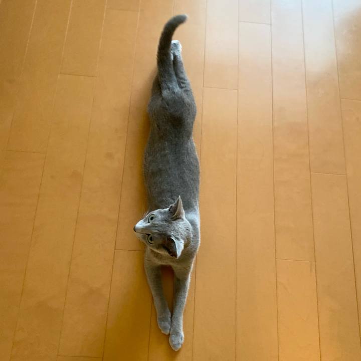 4709f2ce 201a 423f 86c0 566e0f86f225 1661122390585