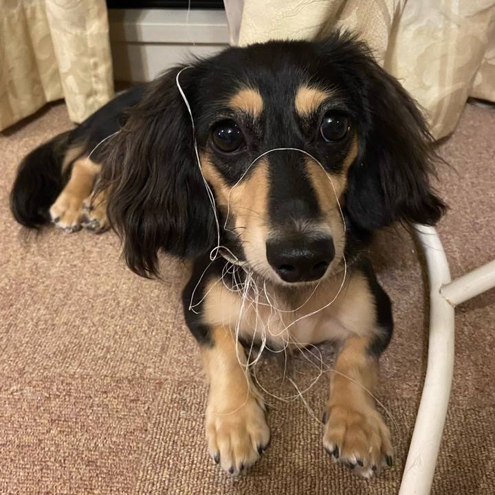 470a1001 e759 4bdf a116 9933abd820ca 1696374950525