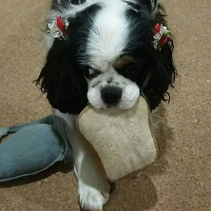 470a2c35 0fba 4f16 9282 b46c88621d17 1538266778122