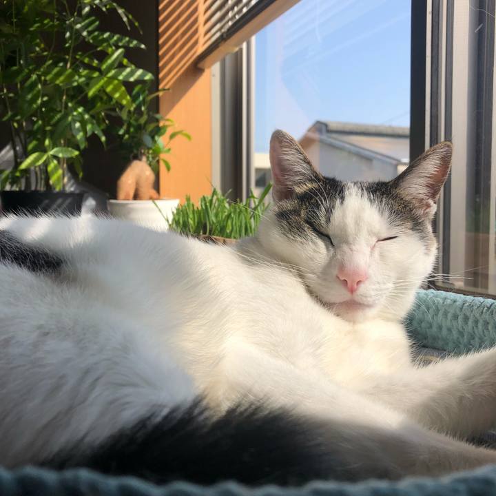 470a3c82 6e9b 4759 a9dc 7576d66c63d5 1684293458082